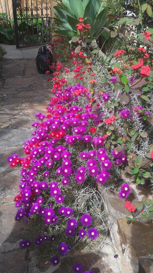Bed And Breakfast Su Niu Quartucciu Exterior photo